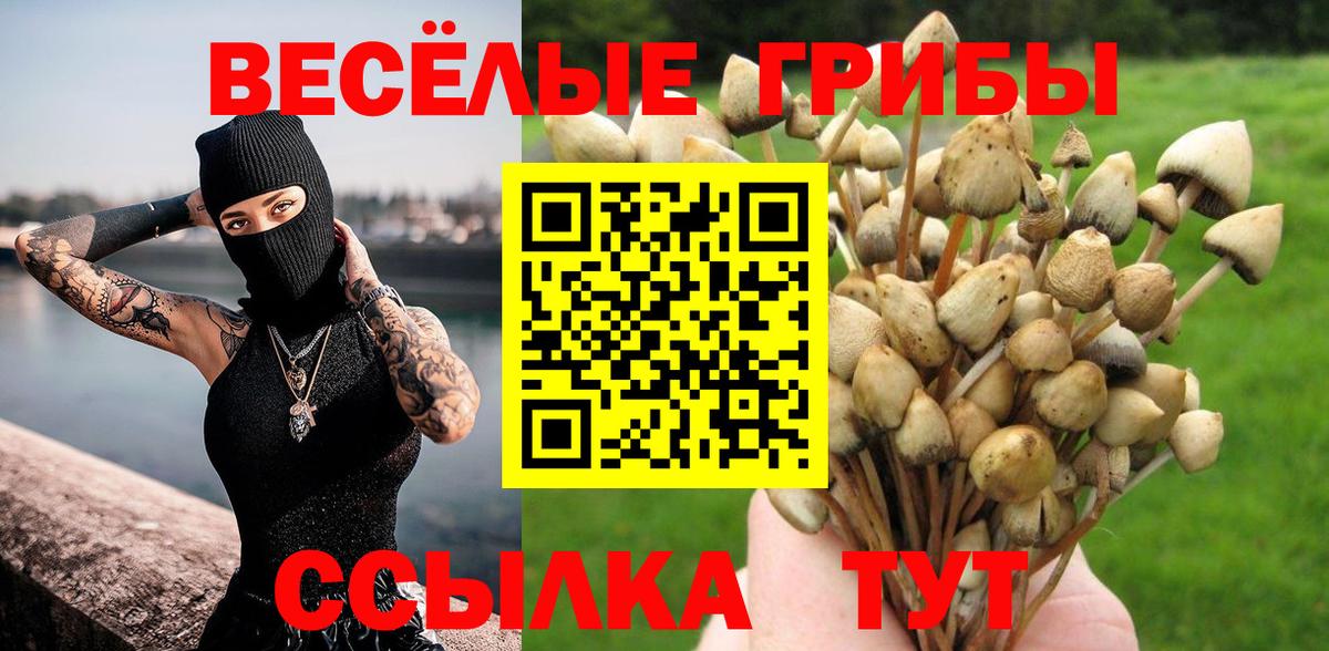 Псилоцибиновые грибы Magic Shrooms Майский