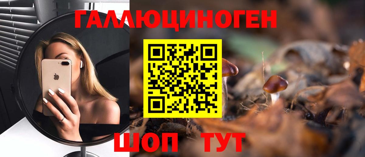 Майский  Псилоцибиновые грибы GOLDEN TEACHER  Псилоцибиновые грибы прущие грибы  Вход с VPN 