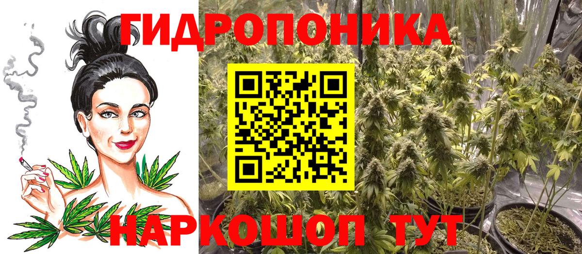 Канабис планчик  Вход с VPN  Майский  Каннабис конопля  МАРИХУАНА LSD WEED  Марихуана семена 